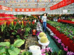 2017ʮ컨ܽڽ417տĻ