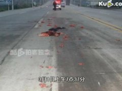 鬣狗为什么不攻击人类,鬣狗是猫科还是犬科_江