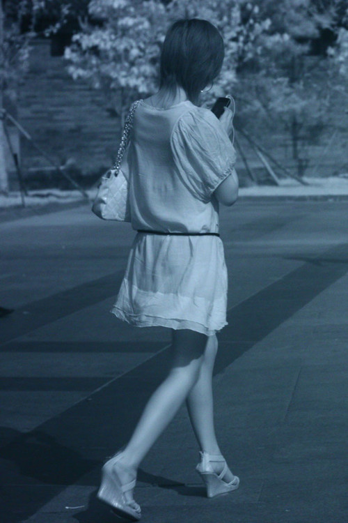 ���������͸8�� �༭ð���������֤���� 