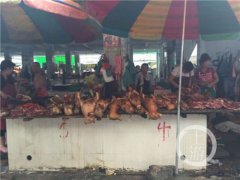 玉林为什么吃狗肉?玉林狗肉节流泪狗图片