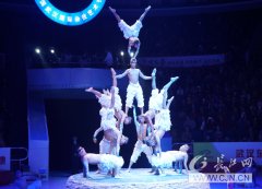 男子高空表演杂技坠落现场,杂技是不是中国的国粹?