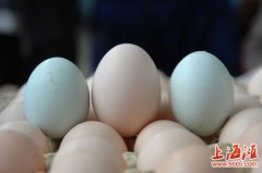 ڼΪʲôǰɫģ̿ǵڼ