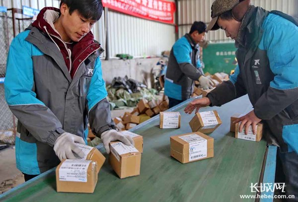 快递公司分拣员累不累?双11快递员收入怎么样