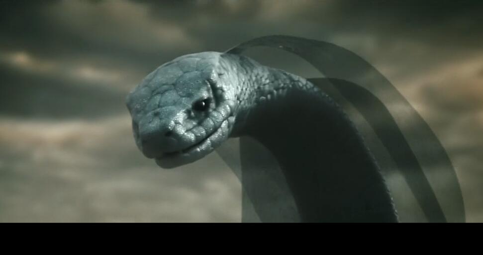 灵魂摆渡黄泉孟婆为什么是蛇?赵吏的血为什么