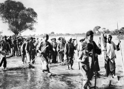 当年为什么山东逃荒到东北?东北有多少人是山东人