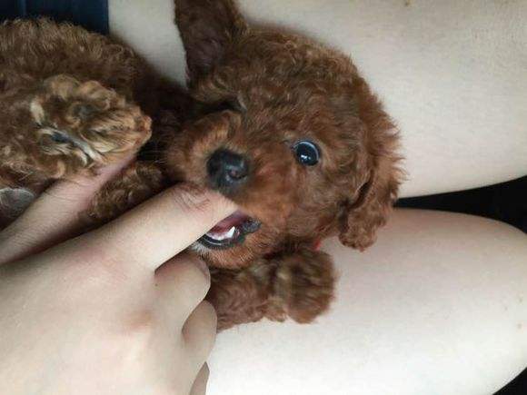 �Һ��Ҽ�̩������ ̩�Ϲ���û���������