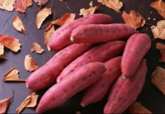 عվƵ׶ٶȣعվƺúڸ