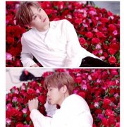 天涯扒皮鹿晗被京圈排斥真相,鹿晗悟空是什么梗