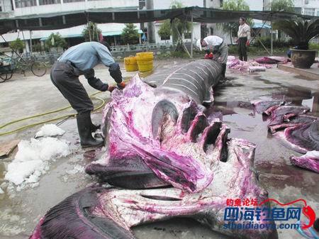 Ͽˮж󣿵ˮˮйӾ˵