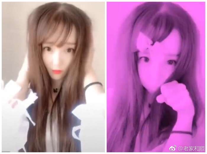 葬爱家族是什么梗