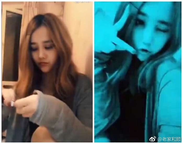 葬爱家族是什么梗