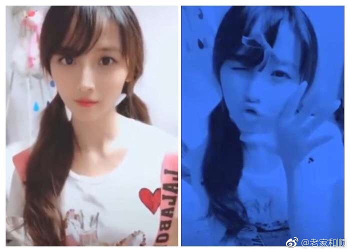 葬爱家族是什么梗