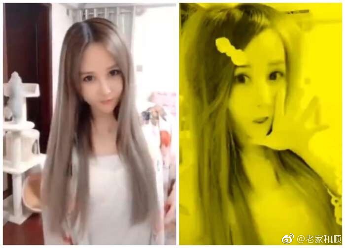 葬爱家族是什么梗