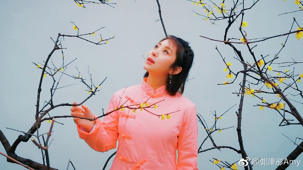 郭津彤有过婚史吗,云飞和郭津彤相差几岁?