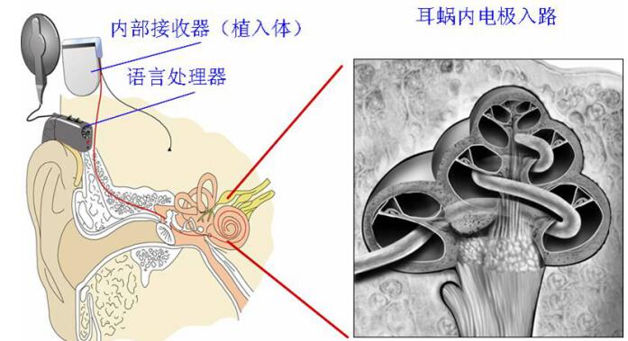 AI芯片与算力硬件