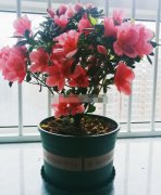 ž黨ɻڼ𣿶ž黨ڷˮϵЩ