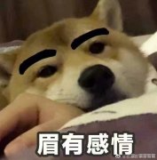 Ů˵еĿѧʲôǿŮ