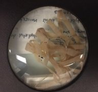 �����г��ܸ��¶��ٶ���ɱ���������г�����ô��Ⱦ�ϵģ�