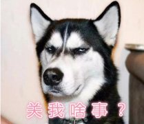 Ϊʲôҧʿ棬ǻѹʿ浱ͬ