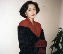 何超莲是利智生的纯属谣言,她现在的身价分析