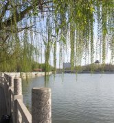 传说中鬼为什么害怕柳条,柳条打鬼的口诀是什么