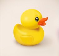 ŮСѼʲô˼СѼʲôʾ