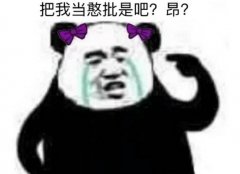 女生说你是憨批是什么意思,憨批是骂人的意思吗?