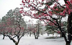 男女之间梅开二度是很污的成语吗,梅开二度是褒义词还是贬义词