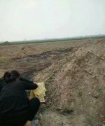 事事不顺祖坟有问题怎么办,祖坟风水不好怎么补救?