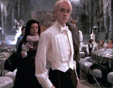 说男的是交际花是什么意思?什么样的男人是交际花