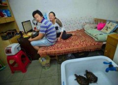 跟一对夫妻合租合适吗,合租的房间不隔音怎么办?