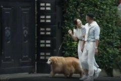 梁正贤为什么叫海王?别人说你是海王是什么意思