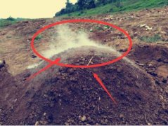 青烟是指什么颜色的烟,传说坟上的青烟是怎么形成的?