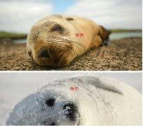 ͺʨɳ̲ɹ̫,ͺʨ᲻ܣ