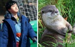 崔荣宰为什么叫水獭?他出道前的女朋友是谁