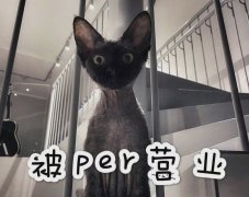 华晨宇张碧晨恋情坐实,还生了孩子都一岁了?