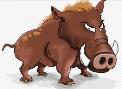 被骂大猪蹄子怎么反怼?为什么说大猪蹄子是花心