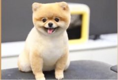 铁憨憨形容女性、形容男生是什么意思,铁憨憨是对喜欢的人说的吗?