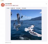 Ů˵ƽսͽʲô˼ƽսͽǷֵ˼