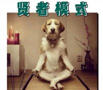 贤者模式智商上升是真的吗,进入贤者模式是不喜欢女朋友了吗?