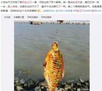 钓鱼钓到死鱼正口的民间传闻,死鱼是怎么上钩的?