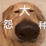 ԩʲô˼ԩֽáԩֹʲô˼