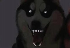 1990年微笑狗事件原图,微笑狗事件死了多少人?