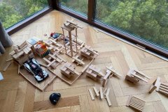 ϵľһʲô˼ľʲô˼