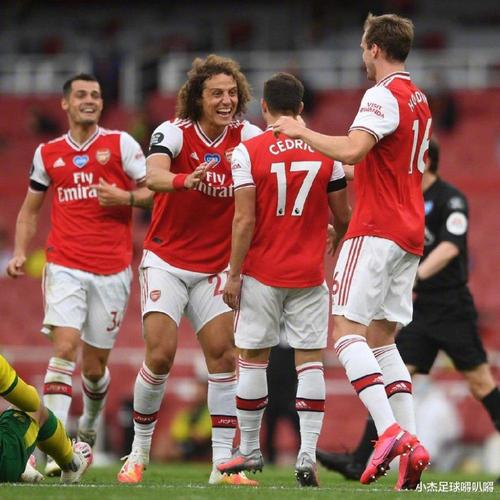 ������VS��ɭ��(������vs��ɭ��ղ����˵)