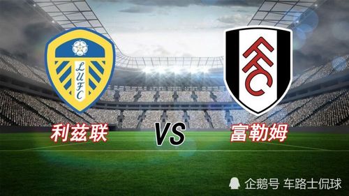 ������VS������(������vs����������)