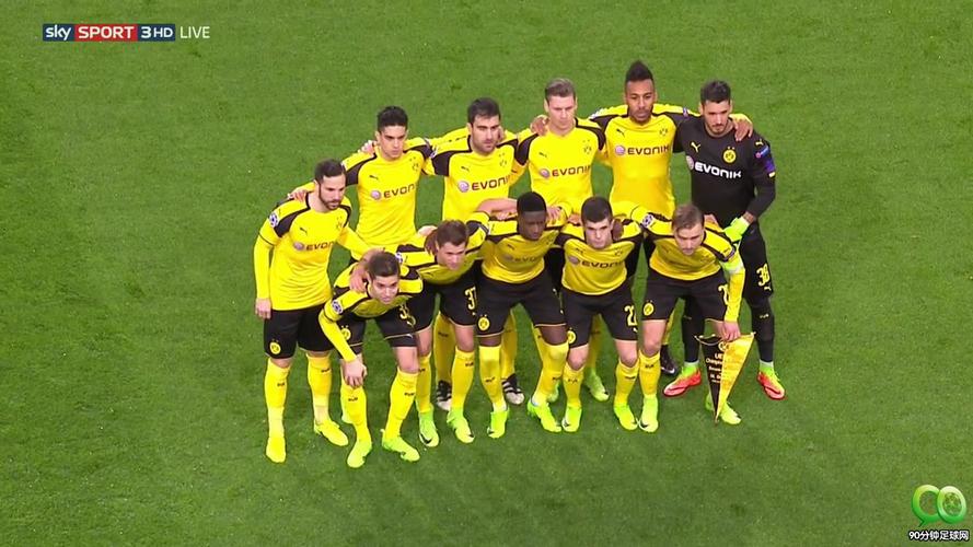 ŷ��������Ƶ(ŷ��ר������)