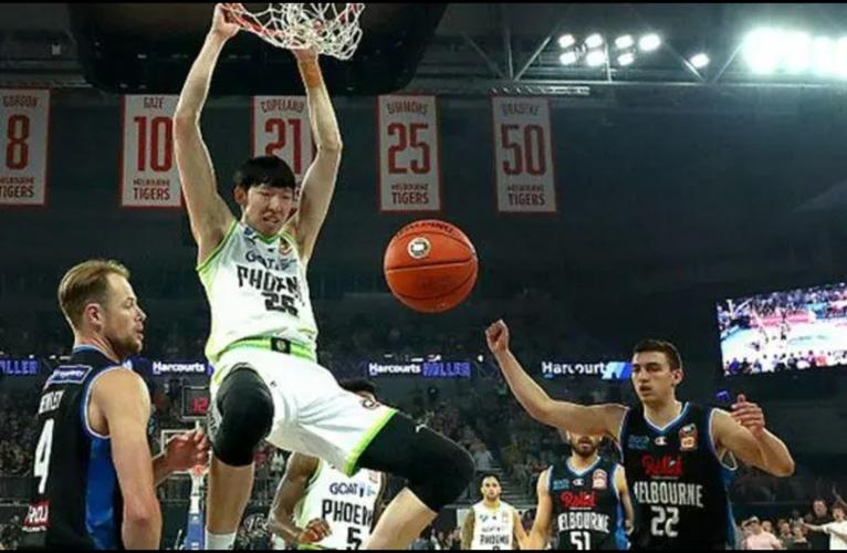 nbl��Ա����(nbl��Ա����)