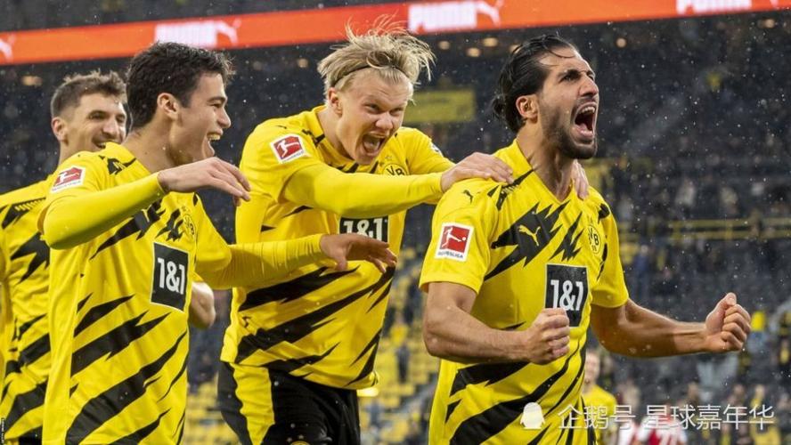 <strong>¶ر(¶Ա)</strong>