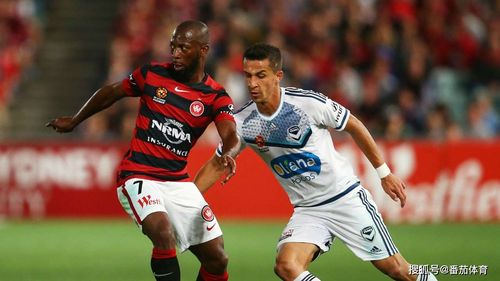 <strong>޼ױԤ(޼ױԤ)</strong>